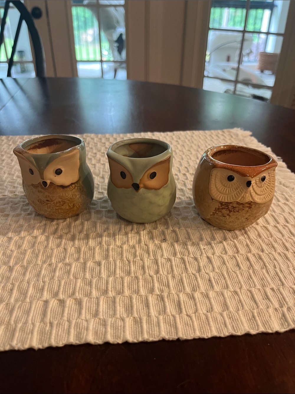 Set of 3 Ceramic Owl Planters - Blue, Sage, Brown